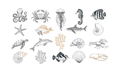 Obraz premium Nautical Marine Animals Illustration Vintage Ocean Wildlife