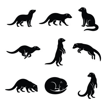 Mongoose and Meerkat Silhouette Vector Set - Various Poses and Actions