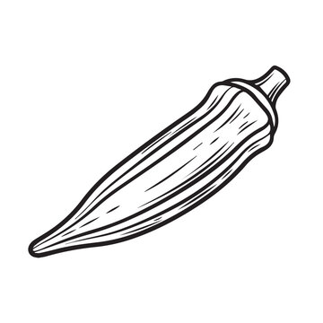 Okra pod hand-drawn illustration single vegetable outline isolated on white background stock illustration
