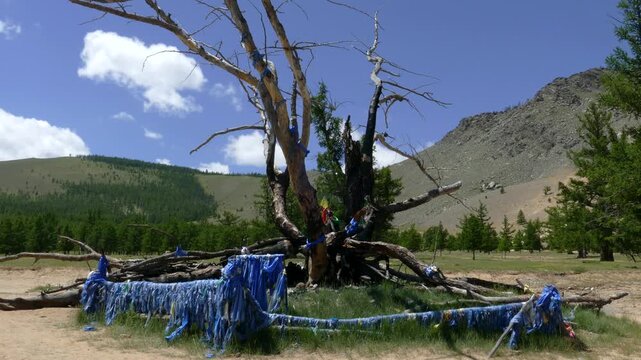 A sacred tree and a sacred pile of stones (ovoo, obo) against the background of low wooded mountains and picturesque sky. The Mongolian landscape.
