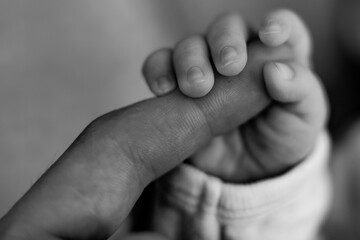 Fototapeta premium newborn baby feet