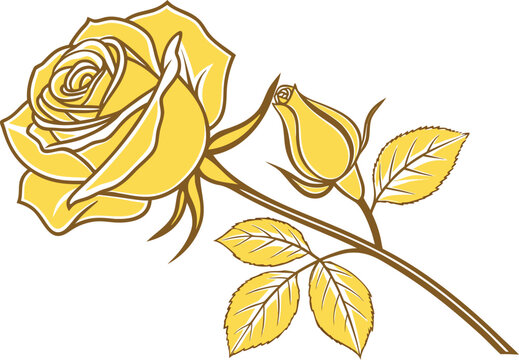 Yellow Rose Natural Floral Concept. Yellow Rose Elegant Flower Design. Yellow Rose Botanical Bloom Concept. Yellow Rose Fresh Garden Flower. Yellow Rose Flower Bloom Concept. Yellow Rose Garden Flower