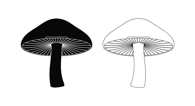 Comparison of a solid black mushroom silhouette and its corresponding line art drawing placed side by side for study.
