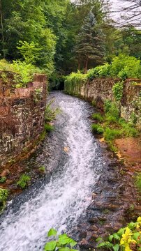 Fast flowing stream between historic stone walls in lush forest. Water rushing through a channel bordered by aged stone masonry walls and dense green forest foliage in Jim Thorpe.