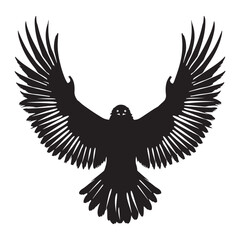 Obraz premium Black eagle flying wings spread powerful predator bird vector illustration