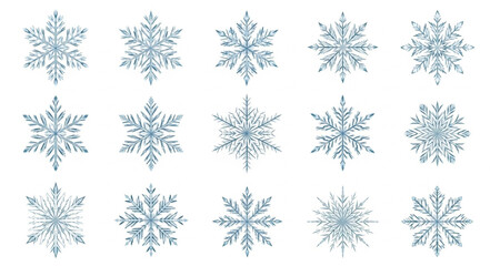 Collection of Various Snowflakes with Unique Patterns.