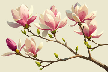 Fototapeta premium Elegant pink and cream magnolia blooms on branch with fresh green buds against soft beige background