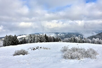 Winterlandschaft auf dem Hinterwaldkopf bei Freiburg im Breisgau