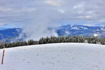 Winterlandschaft auf dem Hinterwaldkopf bei Freiburg im Breisgau