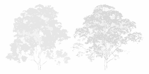 Fototapeta premium Silhouetted trees against a plain white background simple and elegant