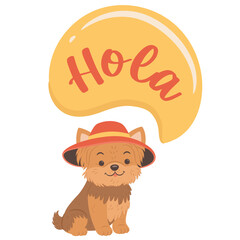 Cute yorkshire terrier dog wearing sombrero hat. English translation for Hola is Hello © katerynalim