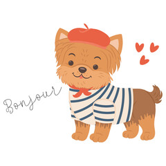 Cute yorkshire terrier dog in french outfit. English translation for Bonjour is Hello © katerynalim