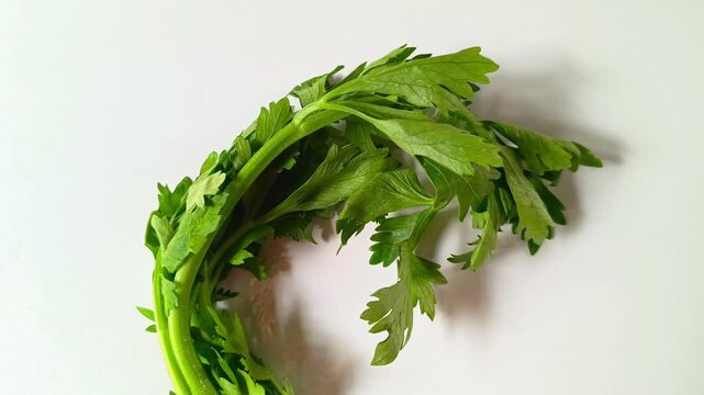 Celery isolated on white background typical vegetable from Guatemala