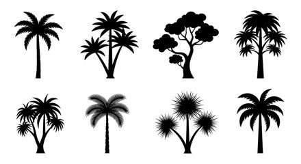 Fototapeta premium Silhouettes of various tropical palm trees on a white background 