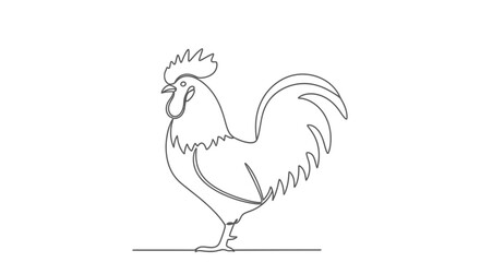 Rooster Line Art Drawing Isolated on White Background © Anisah