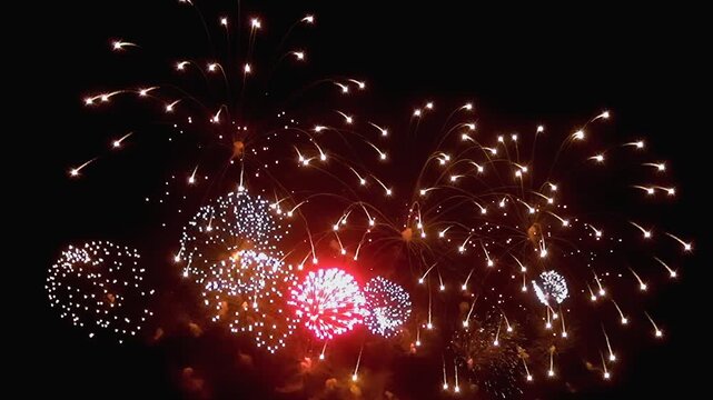 Experience the breathtaking beauty of vibrant fireworks bursting brilliantly against the night sky, showcasing intricate patterns and dazzling colors in mesmerizing slow motion.