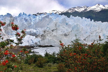 The Perito Moreno Glacier is a glacier located in the Los Glaciares National Park in the Santa Cruz province, Argentina. It is one of the most important tourist attractions in the Argentine Patagonia  © Daniel Meunier