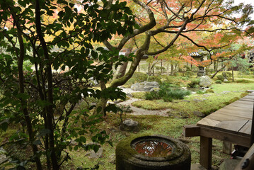 永観堂禅林寺　秋の釈迦堂南庭(京都市左京区)