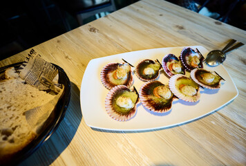 Scallops. A platter of grilled scallops, a shellfish similar to the scallop, but smaller. This dish was served in Galicia.