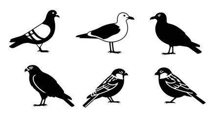 Various Bird Silhouettes Collection - Graphic Vector Set of Different Avian Species