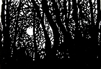 Full moon, moon shining through the trees. Forest at night. Black and white graphic, linocut. Landscape at night, moonlight. © Katarzyna