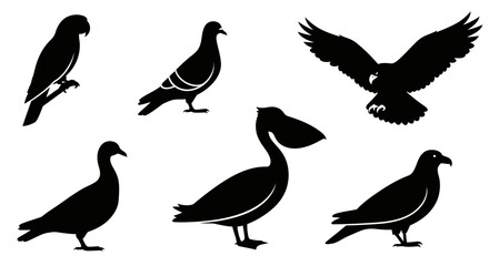Fototapeta premium Bird Silhouettes Collection: Diverse Wildlife Icons on White Background