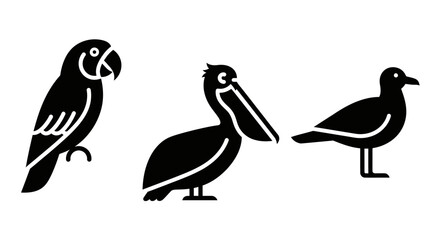 Fototapeta premium Bird Silhouettes Collection: Parrot, Pelican, and Seagull Icons