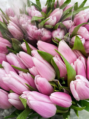 Obraz premium Fresh light pink tulip flowers on the flower shop. Spring floral background. 8 March, Mother s day, Valentine concept. Bouquet spring flowers.