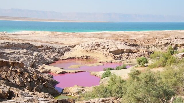 Pink salt pools near Dead sea shore with turquoise water rocky coast mineral landscape unusual nature concept Jordan