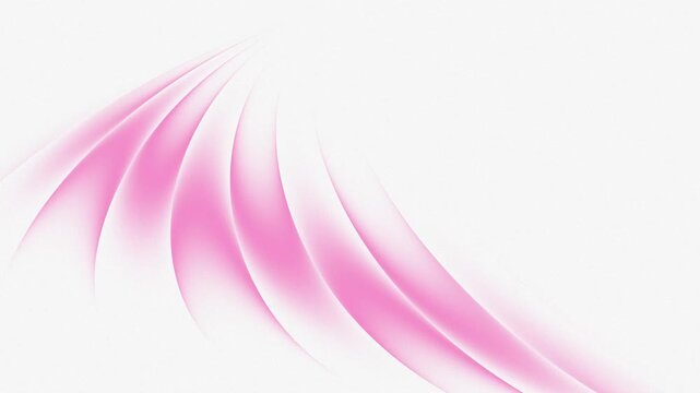 Pink smooth abstract waves moving across white background. Digital motion graphic element with flowing rhythmic lines and blank space for text