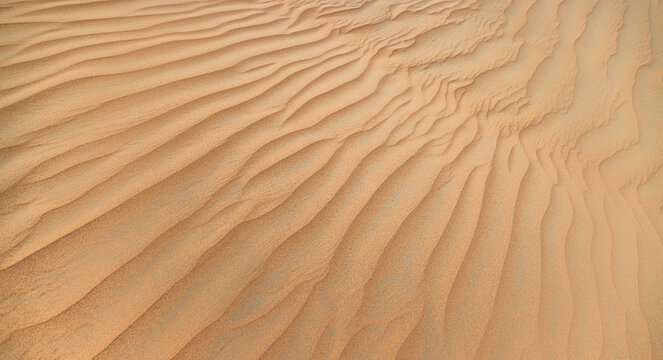 Natural desert sand texture background with fine grains and soft ripple patterns warm earthy tones minimal abstract nature surface. Panoramic outdoors sandy pattern wallpaper