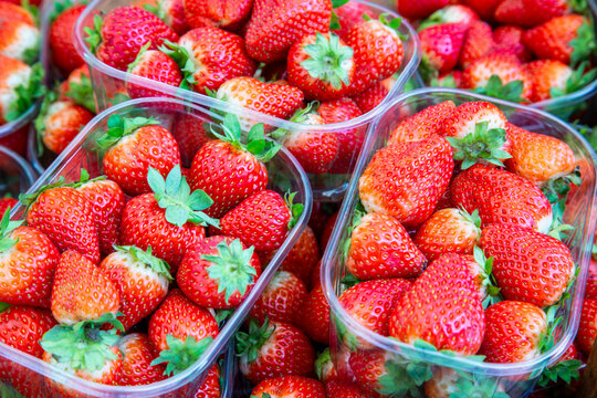 A variety of fresh strawberries in plastic containers lie in a grocery store display case