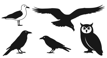 Various Bird Silhouettes Vector Set: Eagle, Owl, Crow, Seagull Illustrations