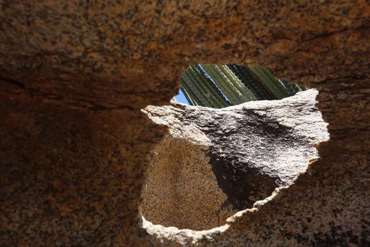 Flora in a parc with stones