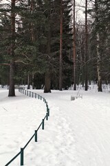 Winter park landscape with snow covered ground and trees. A green metal fence curves along a snowy path with a white bench nearby under an overcast sky in a quiet public garden area. Outdoor view