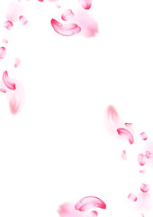 vector flower border png	
