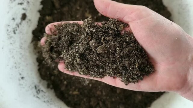Real Life Authentic Video of Gardener Holding and Showing Rich Airy Organic Potting Soil in Hands