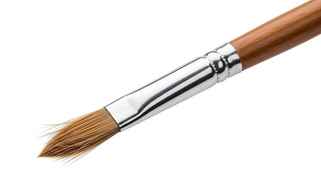 A close-up view of a paintbrush with brown bristles and a silver ferrule on a white background.