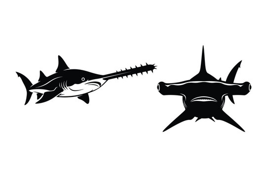 Hammerhead and Sawfish Silhouettes