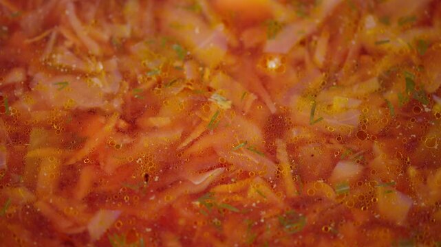 Hearty vegetable soup. Flavorful stew with fresh herbs. Warm borscht topped with fragrant dill. Steaming bowl of savory vegetable borscht garnished with herbs and dill