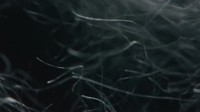 Small floating micro fibers moving softly in a dark atmospheric environment
