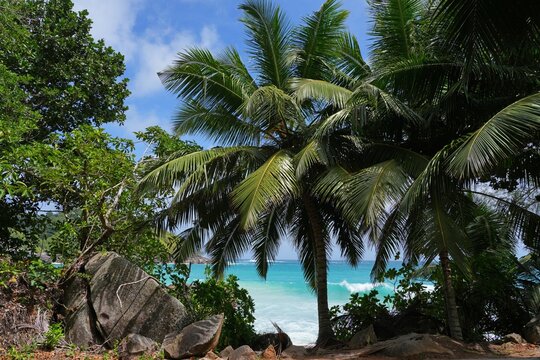 Granite boulders on a deserted tropical beach in Mahe, Seychelles, on the Indian Ocean