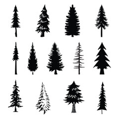 Obraz premium pine trees silhouette vector illustration