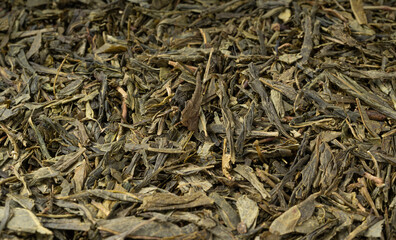 Fototapeta premium Green tea leaves macro textured background