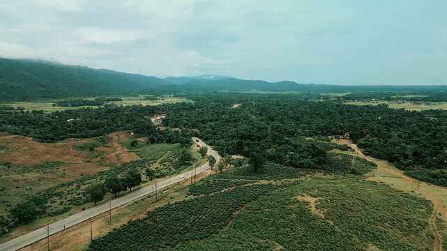 Cinematic drone aerial view of a winding road through lush tea gardens and forest hills in Jaflong, Sylhet, Bangladesh. Peaceful countryside landscape with clouds gathering