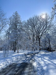 Obraz premium Snow covered country road through winter forest under bright blue sky