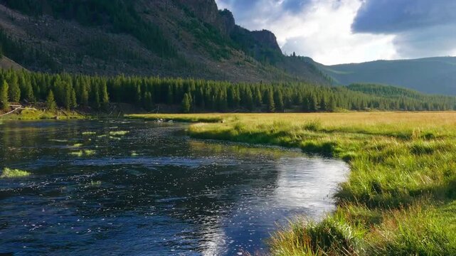 Clear river water flows gently through a grassy meadow in Yellowstone while pine forest and mountains rise behind under dramatic clouds, sunset light