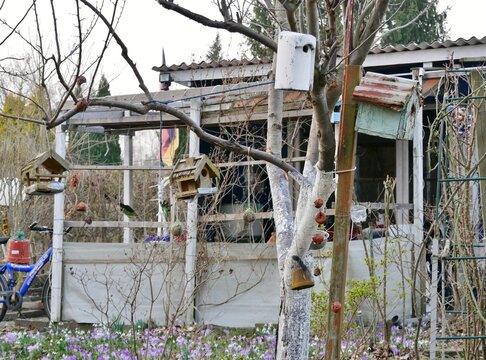 Kleingarten mit Vogelfuter im Baum