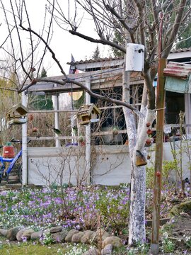 Kleingarten mit Vogelfuter im Baum