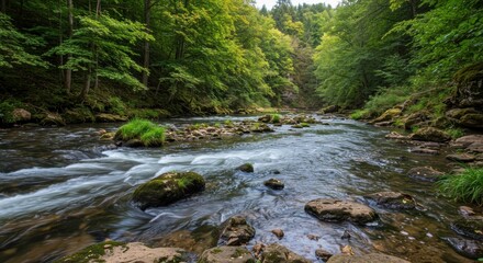 A serene river flows gently through a lush, green forest with rocks and moss along its banks